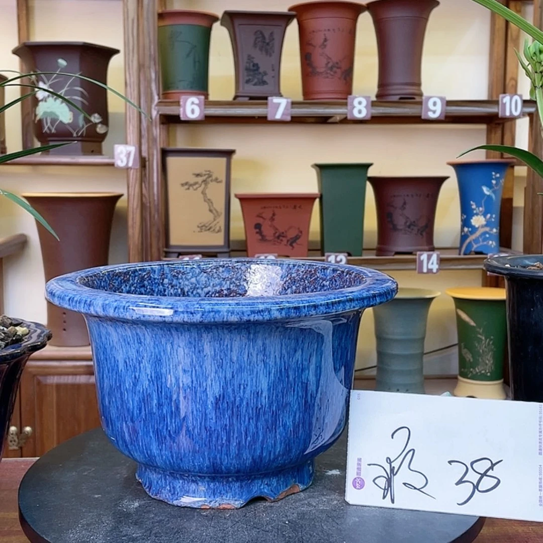 【闪购商品】紫砂花盆用****0兰花455555588855855555