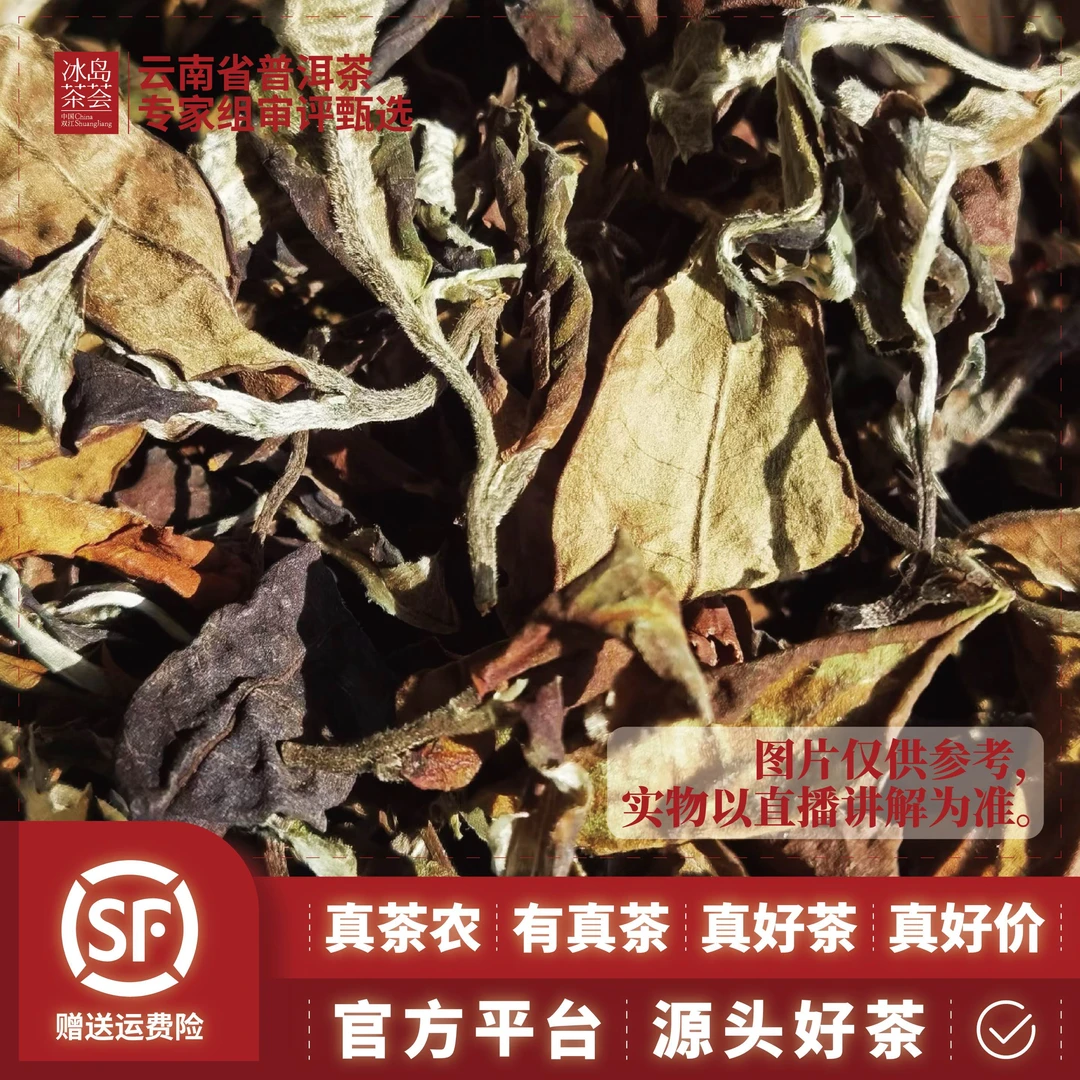 编码281-13/2025年荒野白-古树-春茶-白茶-散茶