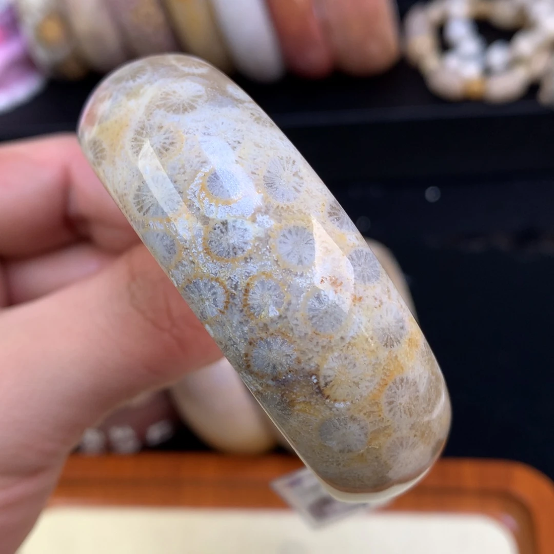 硅化珊瑚（珊瑚玉）未镶嵌颈饰57号金丝包边蓝心花55圈