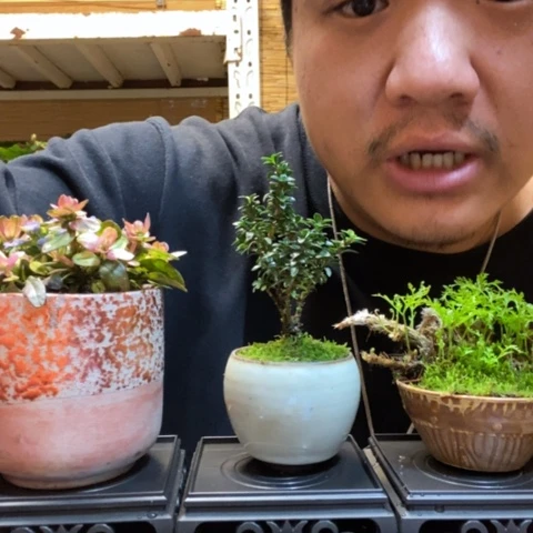 红陶坤*新一物一拍所见即所得139