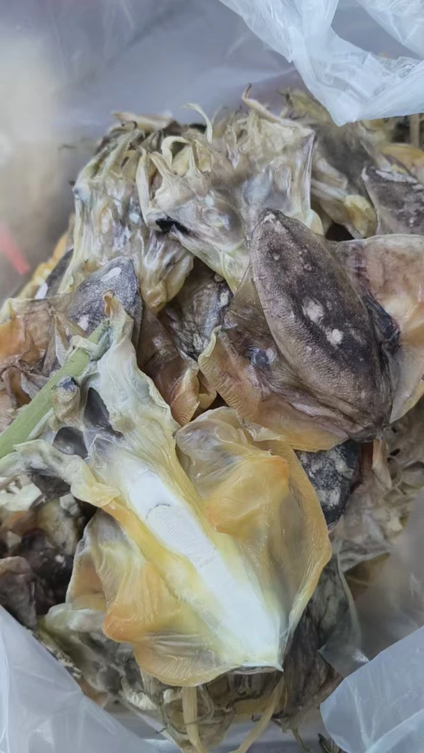 特产本港淡晒墨鱼干海鲜干货煲汤佳品