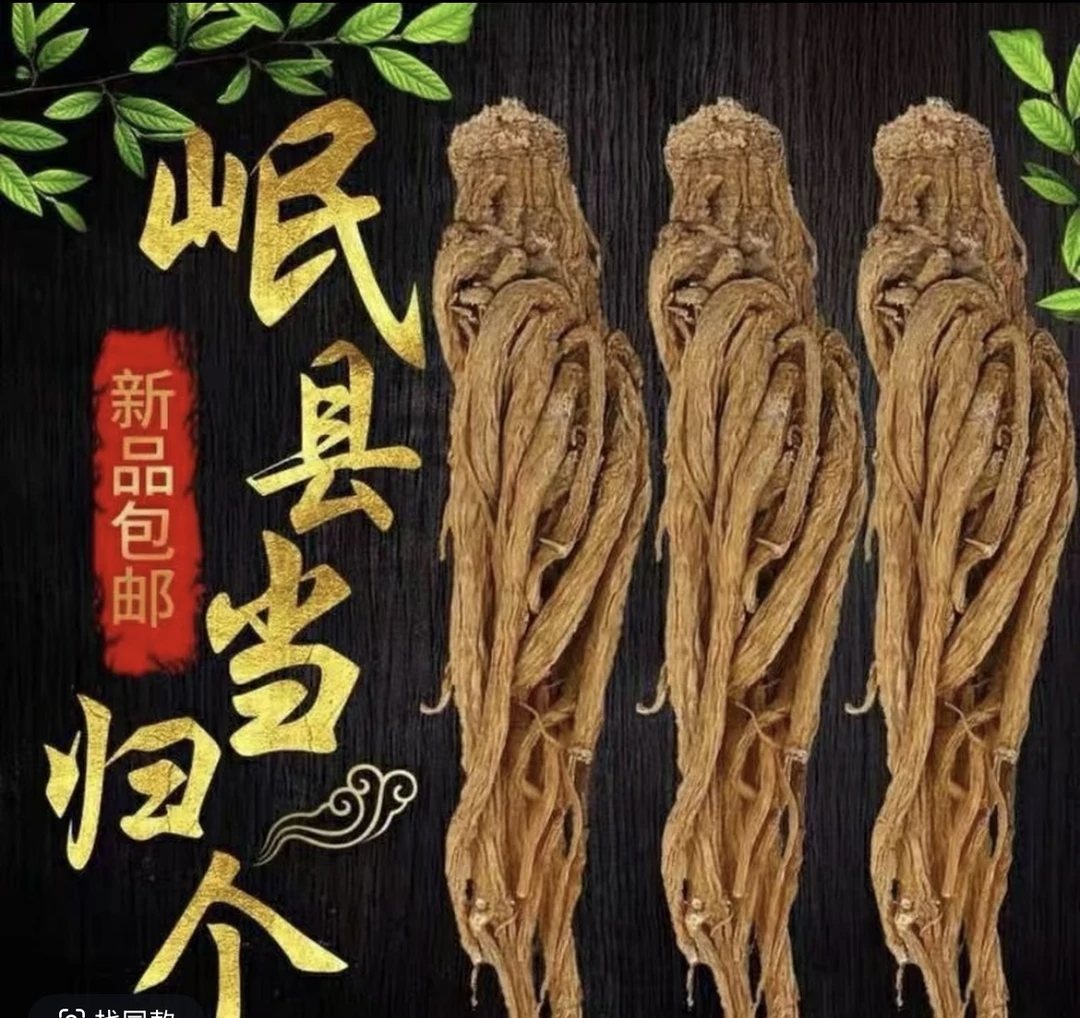 甘肃岷县正宗当归整根可搭配黄芪党参煲汤养生中药材无硫熏