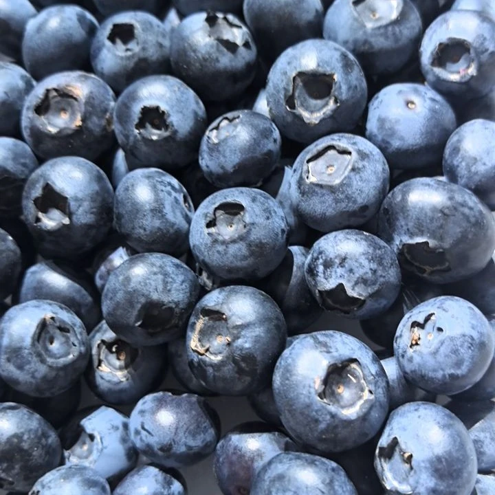 丹东蓝莓400克/件礼盒