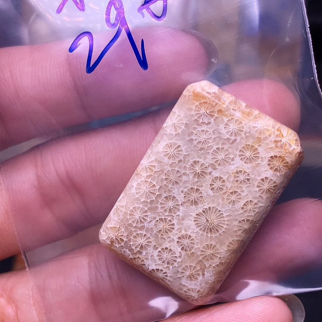 科***娜合金硅化珊瑚（珊瑚玉）珠宝奇石