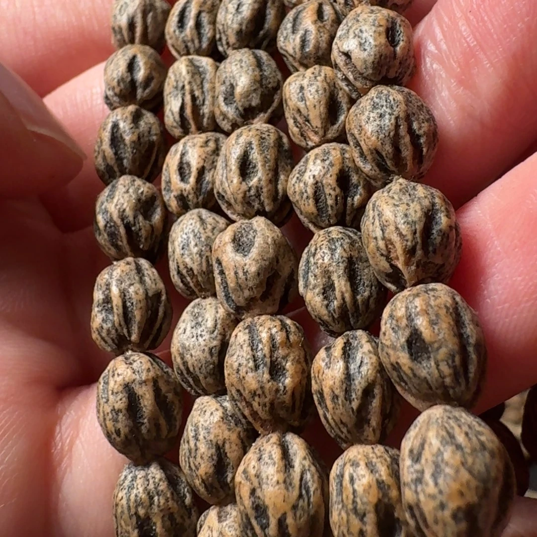 吊坠柏香籽/百香籽