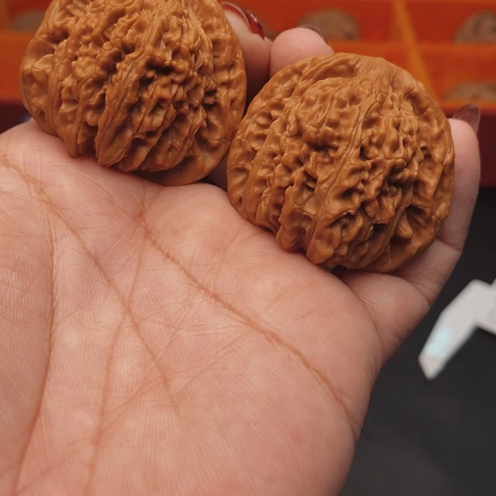 核桃汉高楼40尺核桃