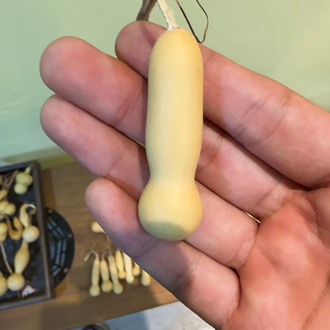 1****9哈哈我也是很喜欢的呢我也是想着去瞧瞧