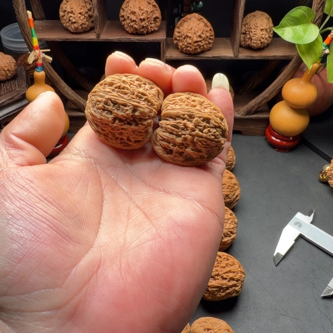 把件文玩核桃南疆石拉丝菊花底尺寸36