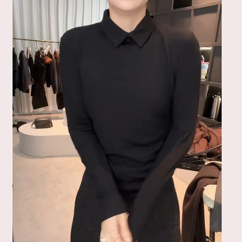 秋款翻领磨毛设计感时尚百搭长袖显瘦上衣T恤女LK2507380