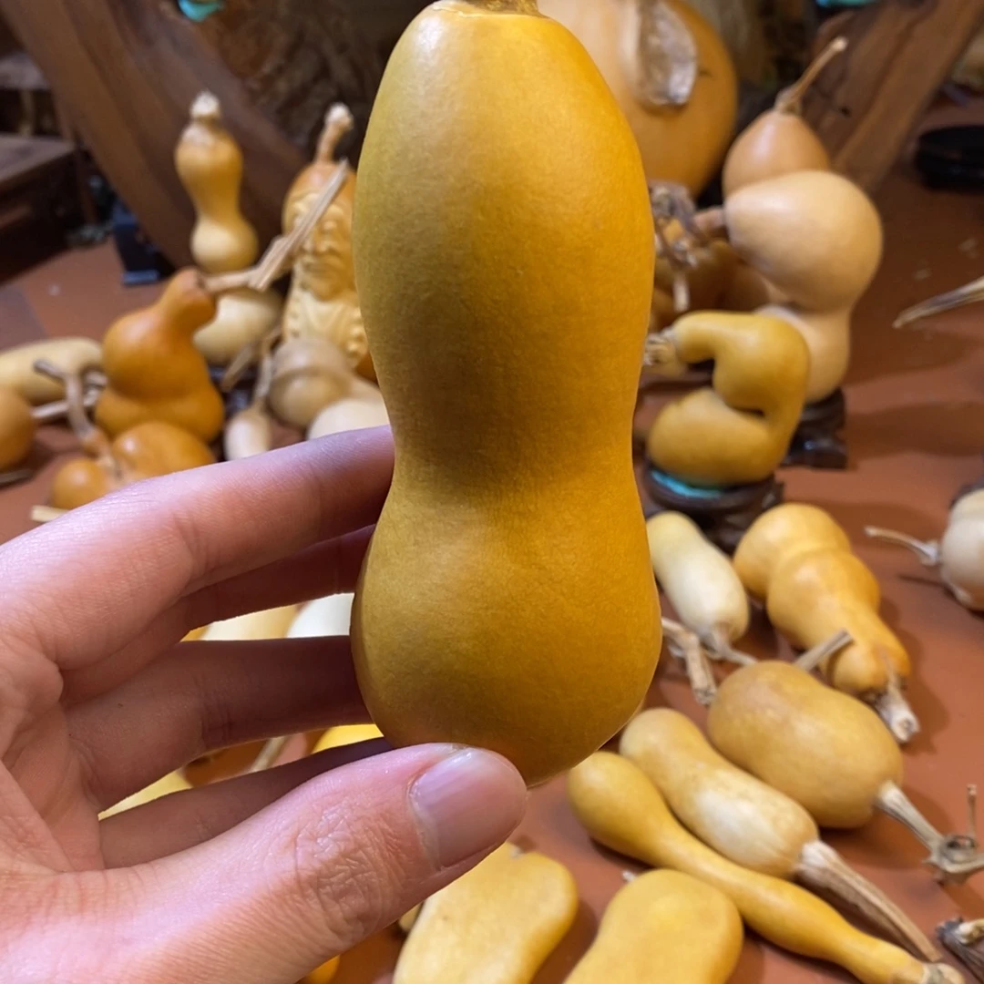 富***艺教练教练咯教练经理