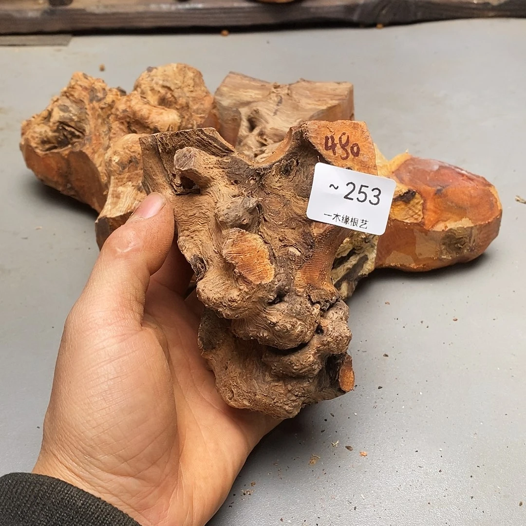 弹***形无花朵            253