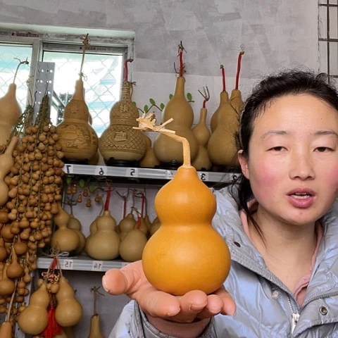 温****?天然植物葫芦文玩