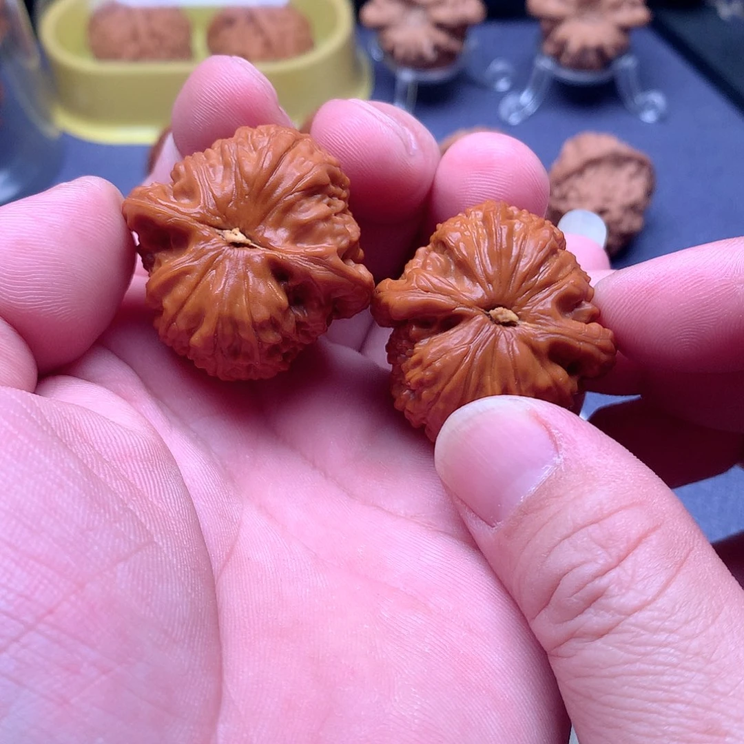 李***，把件文玩核桃白狮子