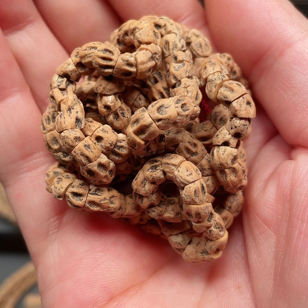 吊坠柏香籽/百香籽老树尸坨林满鬼大肠