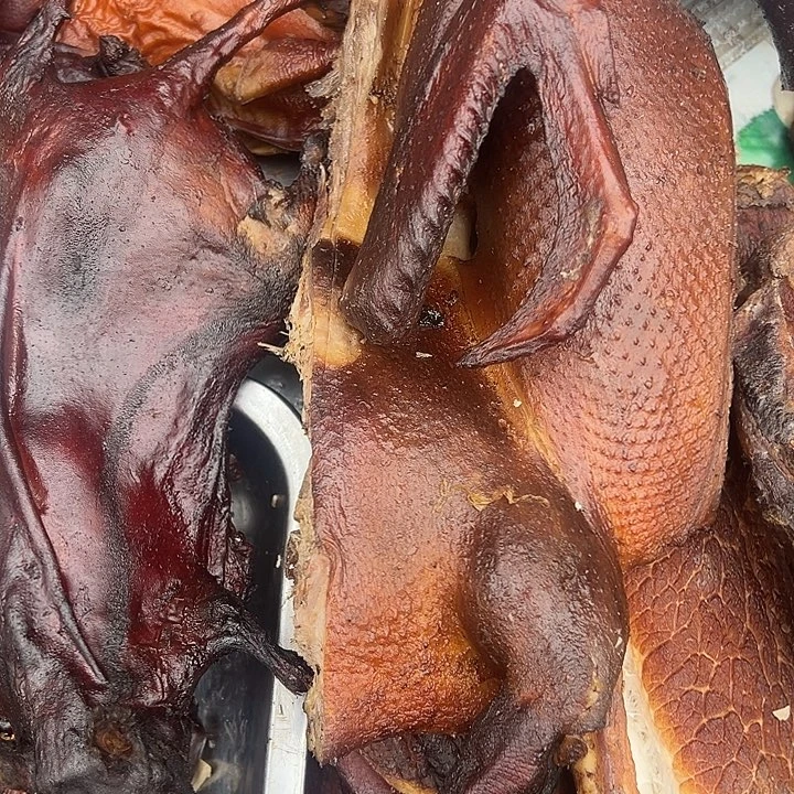 *****中国大陆长尾兔+鸭子