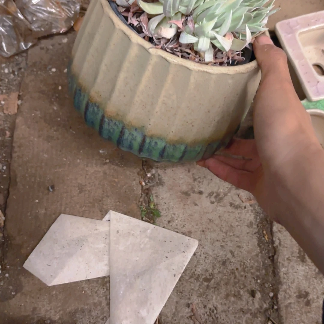 疯***。绿盆盆盆盆盆盆盆盆