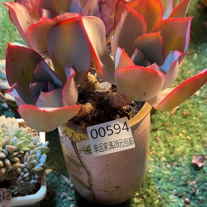 幸运的是我还没遇到