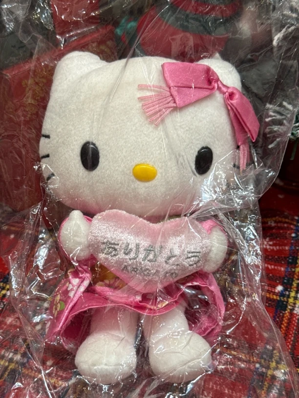 S宝专拍抱心kitty公仔