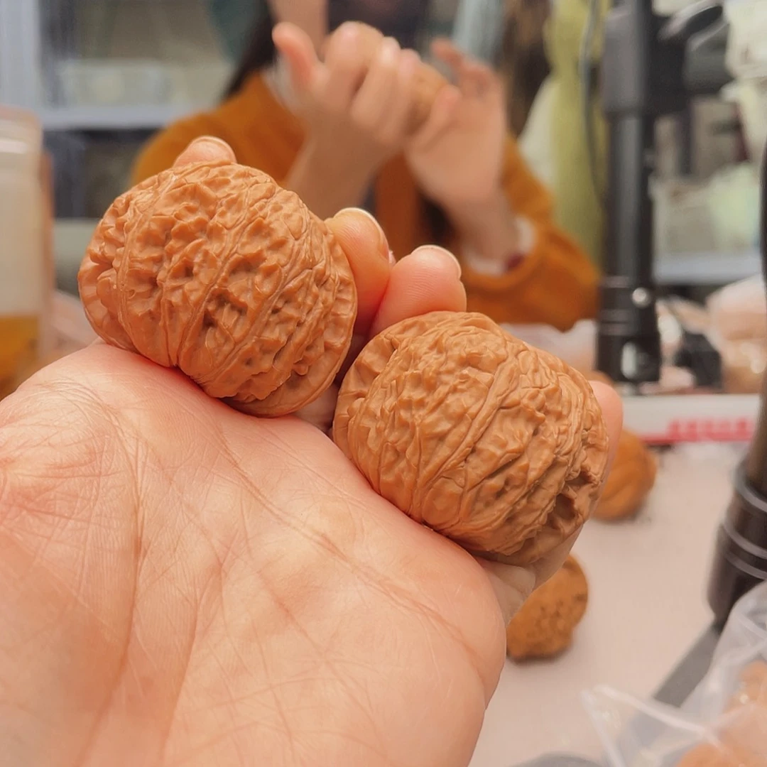 砥**行猴头龙身第十一期之