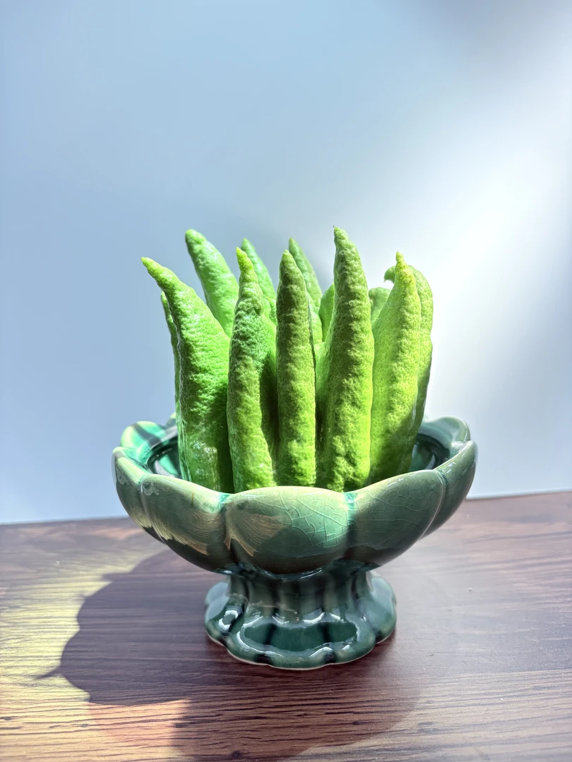 【卉也丨莲花造型花瓶】陶瓷加厚花瓶摆件家用客厅餐桌摆盘冰裂双色