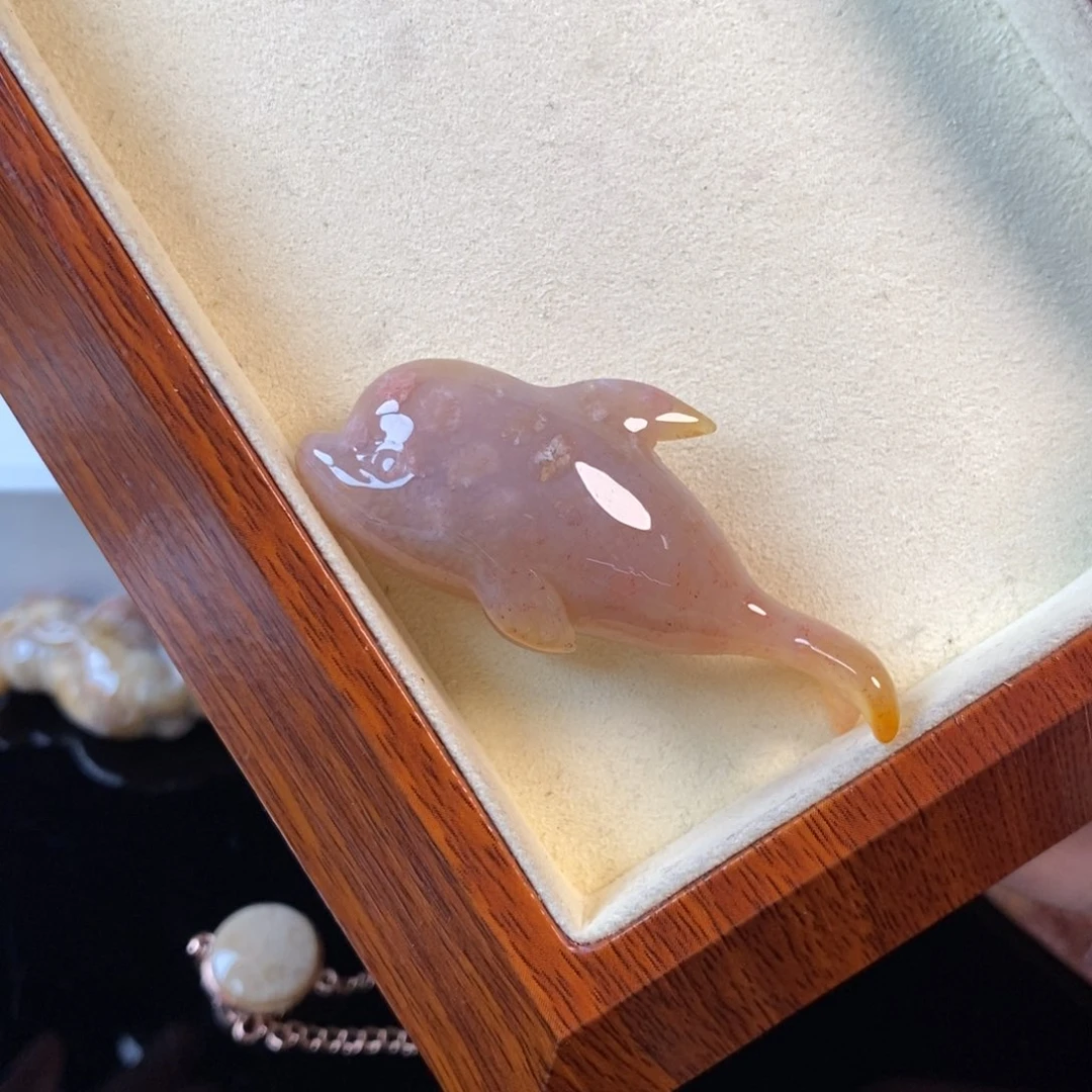 硅化珊瑚（珊瑚玉）未镶嵌颈饰99