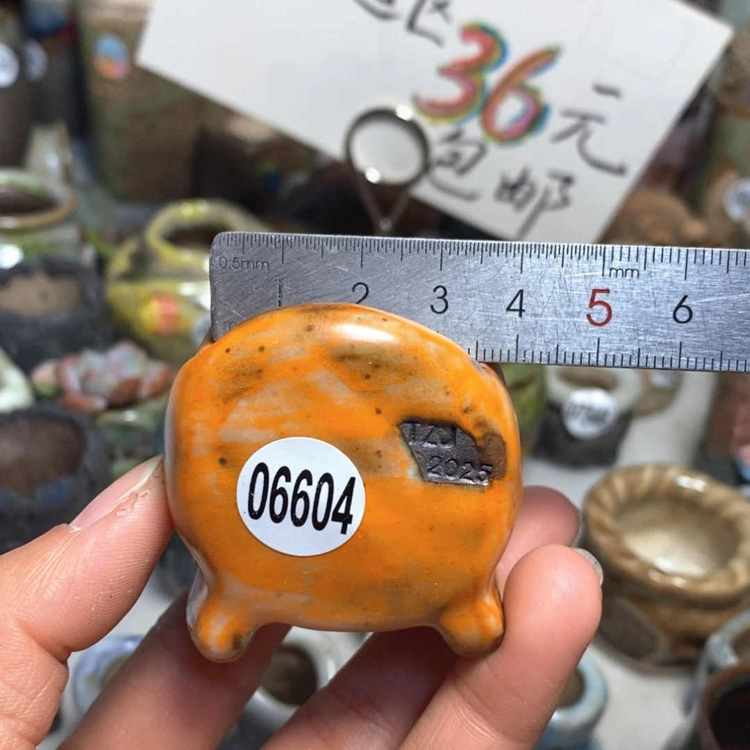 花盆拍3送一个小礼物