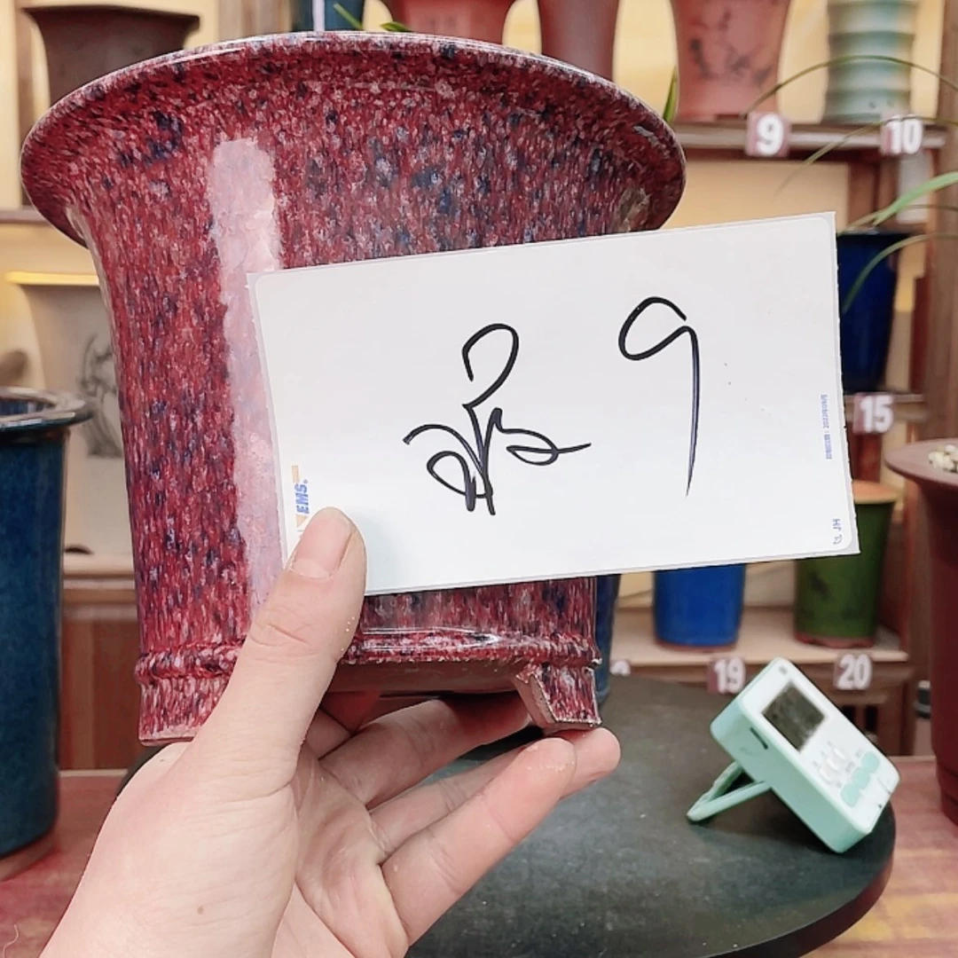 【闪购商品】紫砂花盆闲**草兰花755655555547885658