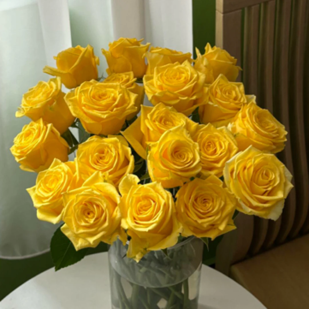 金枝玉叶10支（今天买明天到）