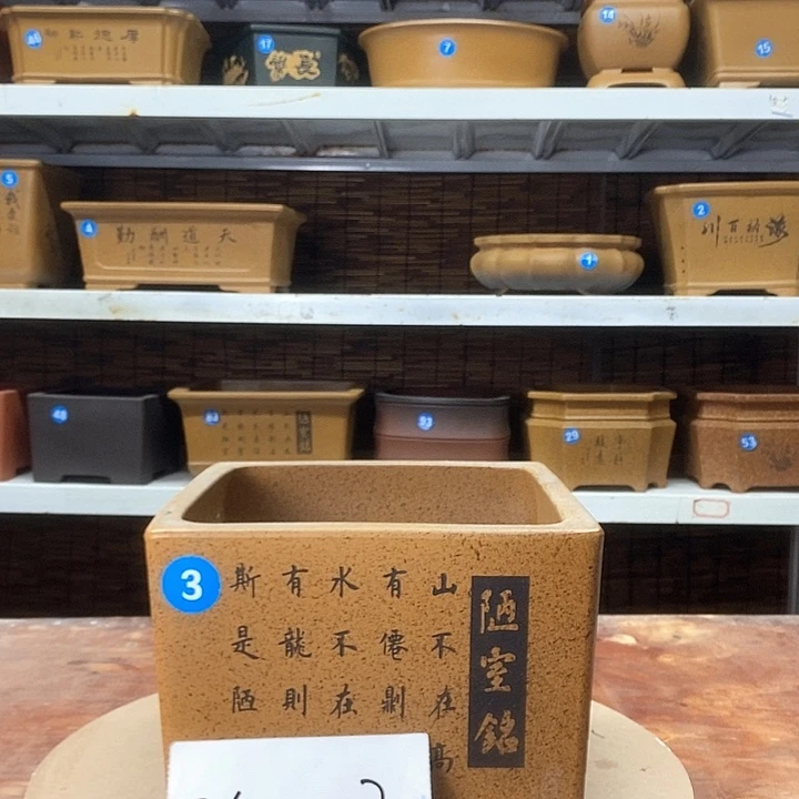 紫砂花盆紫金庄园