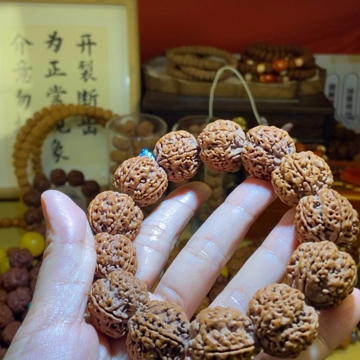 吊坠金刚菩提225原籽一物