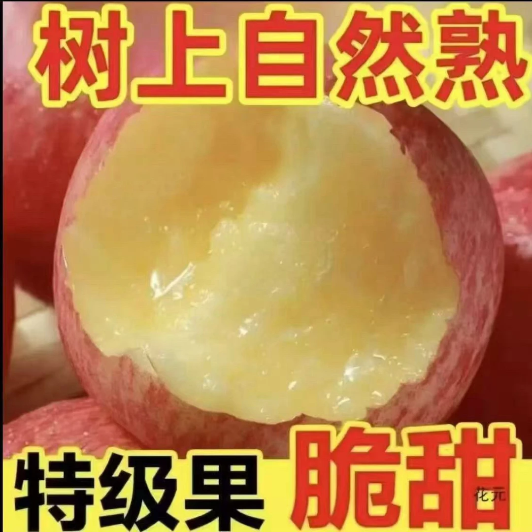 2025年正宗红富士脆甜多汁农场直发