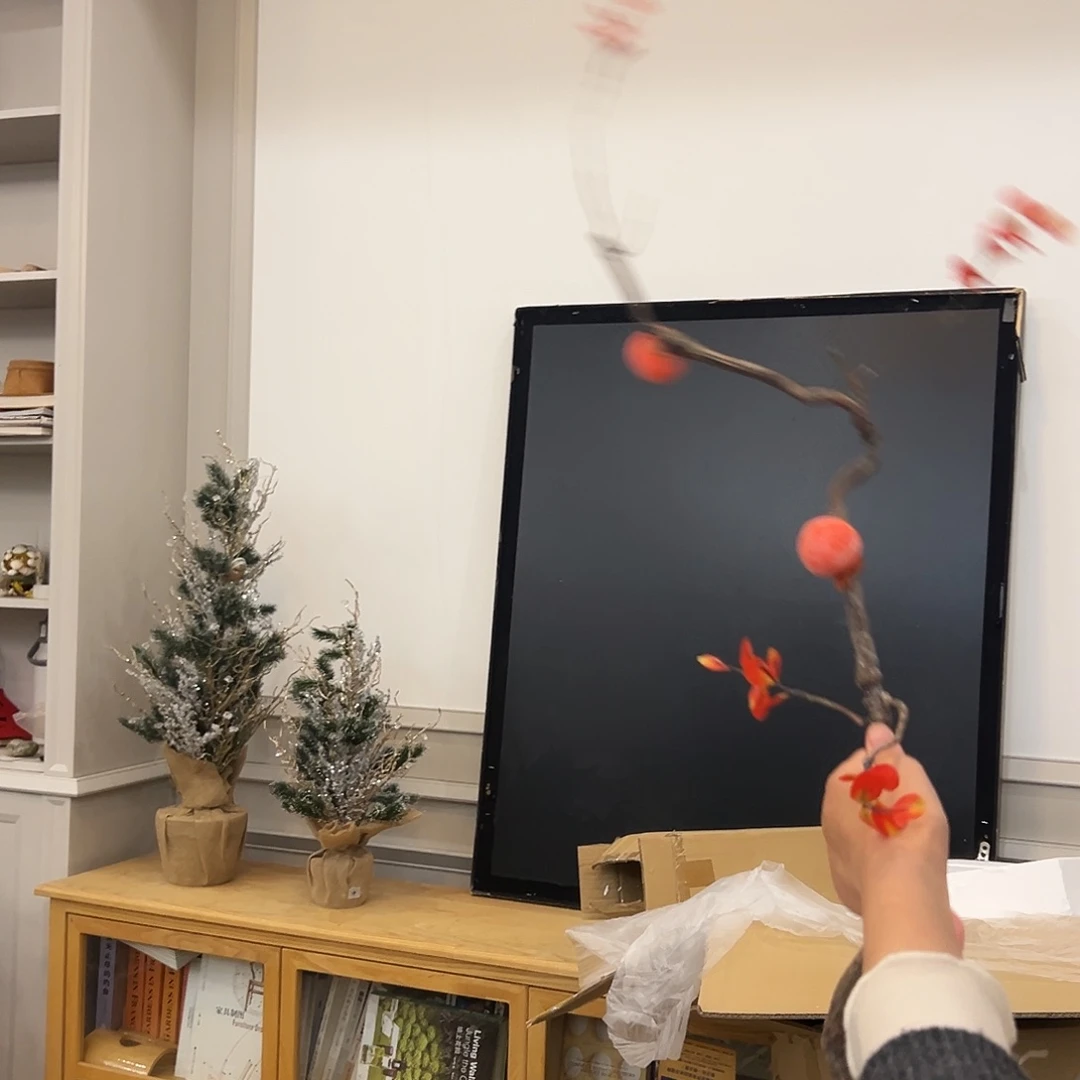 抖音直播间柿子藤