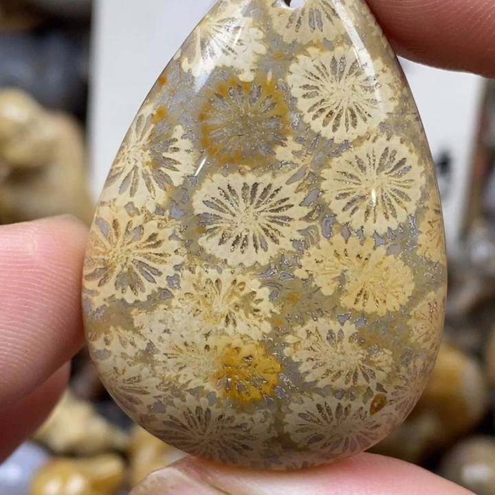 硅化珊瑚（珊瑚玉）未镶嵌颈饰