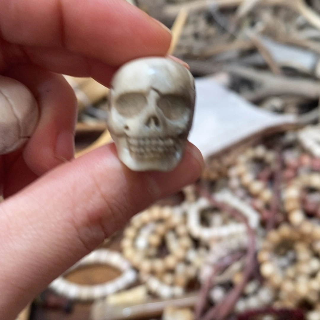 非金属鹿角鹿角鹿