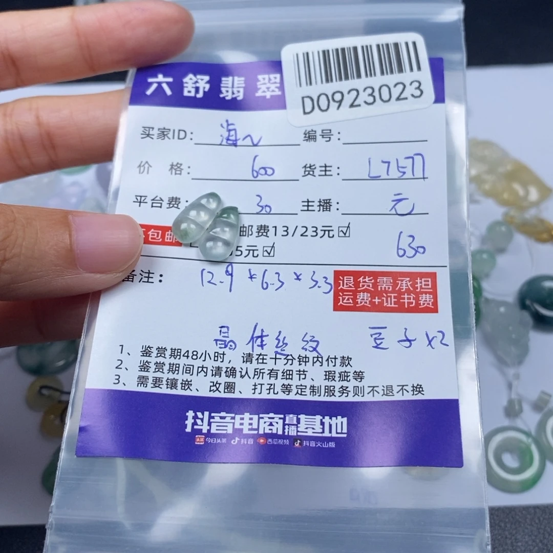 海****未镶嵌挂件翡翠D0923023