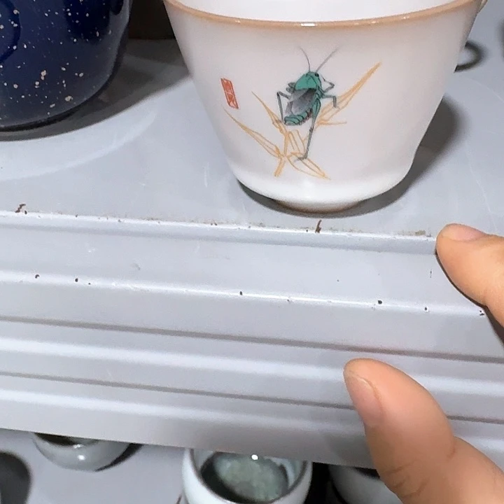 主人杯一个，瓷。。品茗瓷