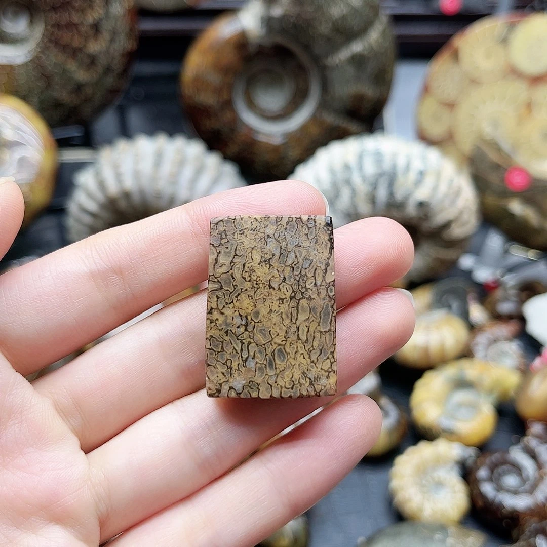 木质类龙骨无事牌