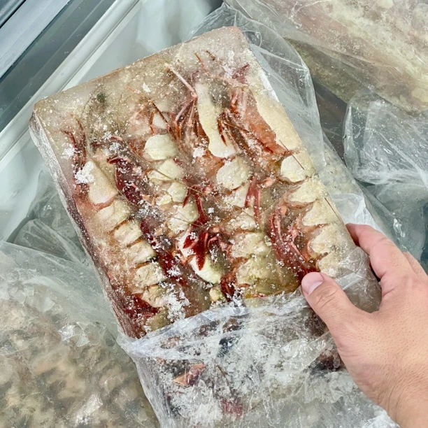 【水冻坨】野生海捕大虾母 净重2斤+