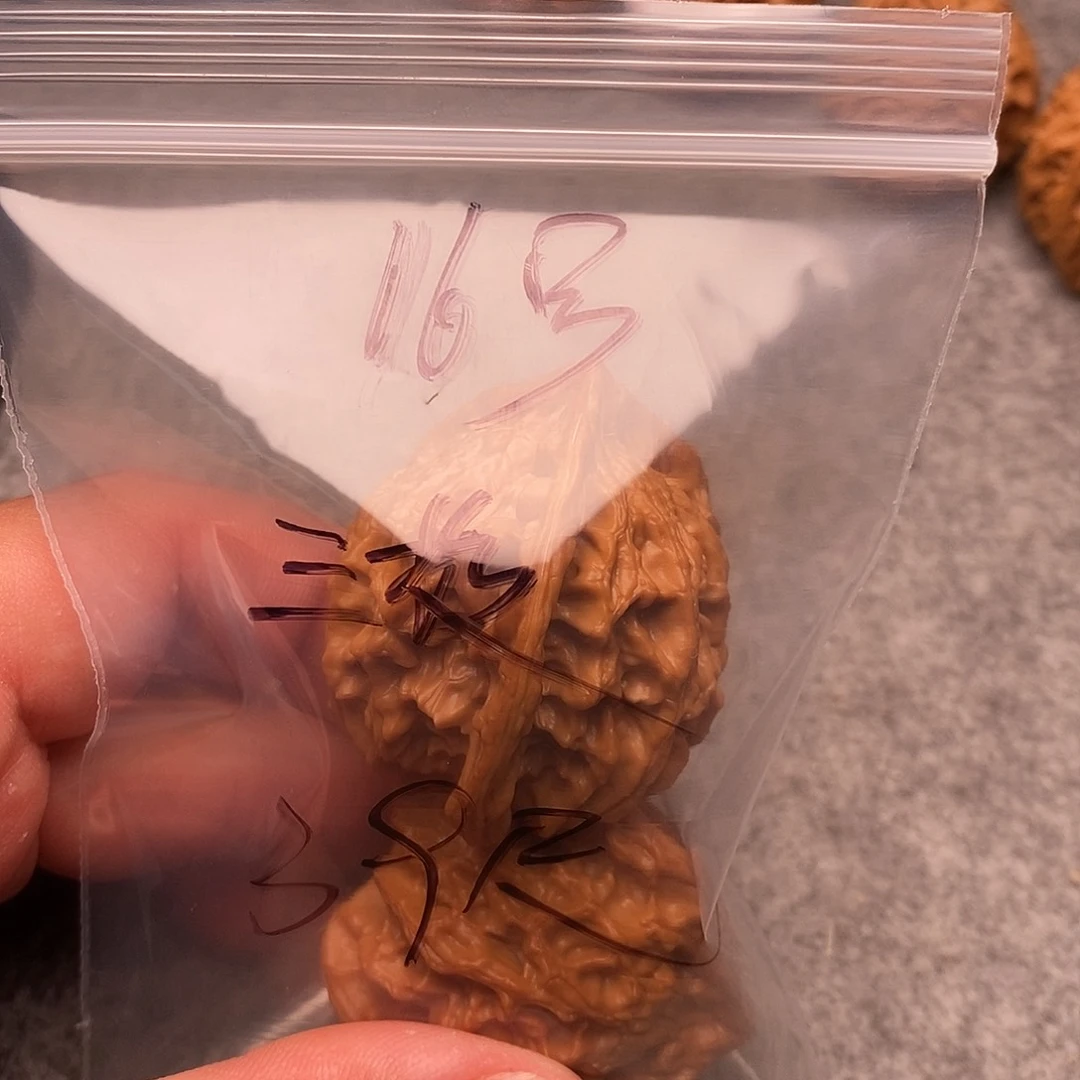 文玩核桃把件三棱