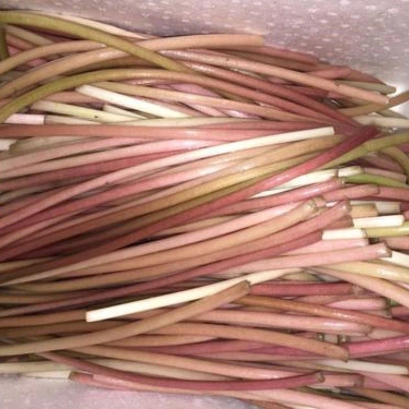 新鲜脆嫩鸡头梗芡实梗应季现摘湖北特产蔬菜