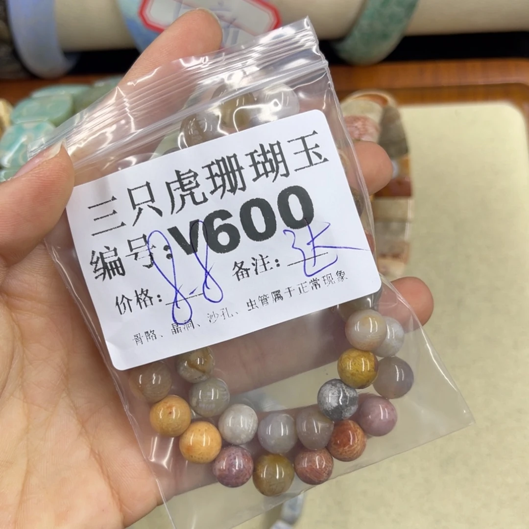 手***7硅化珊瑚（珊瑚玉）h未镶嵌