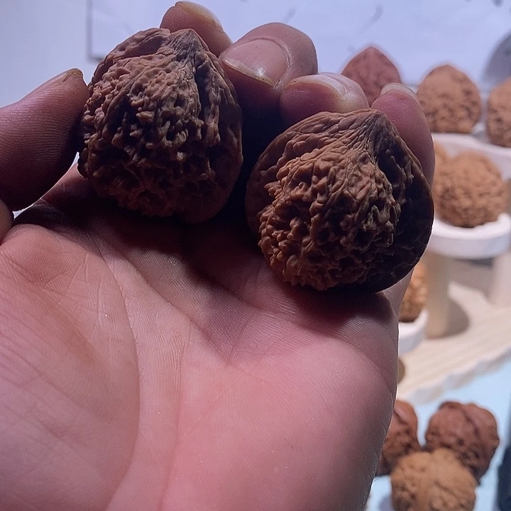 核桃把件40满天星无修