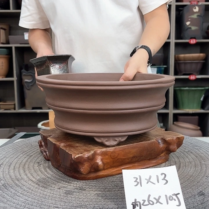 紫砂花盆紫砂的花也太美