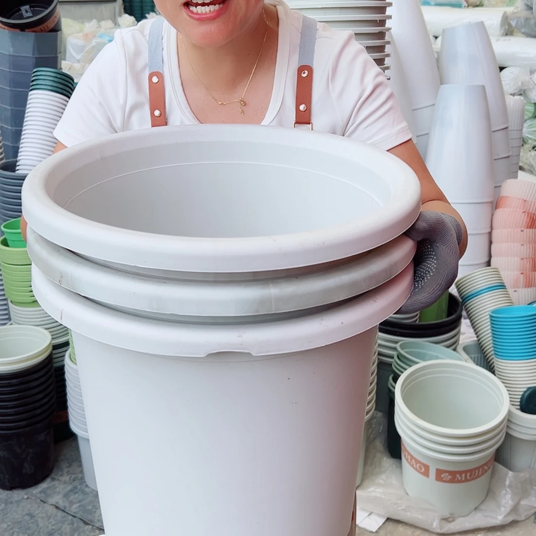 瑕疵四季盆8#白色串色3个无托