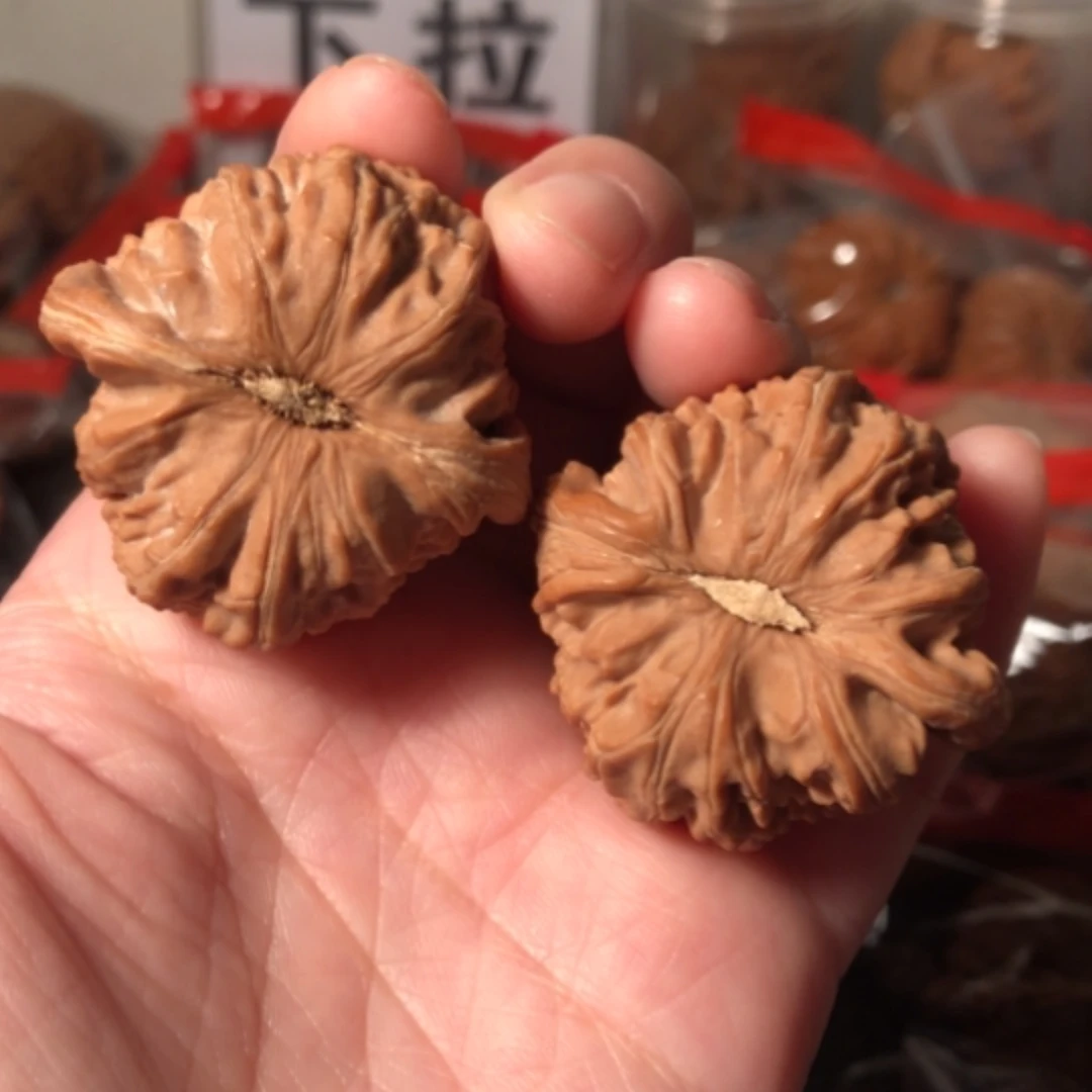 【闪购商品】文玩核桃把件白狮子40.8