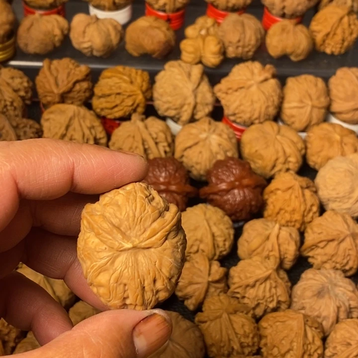 淡***g大叶紫檀（黑酸枝木类）