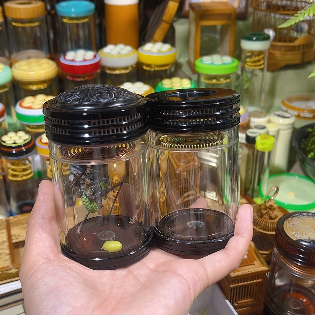 用***9蟋蟀一对儿天津谭蝈蝈罐