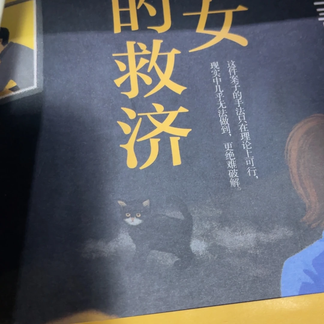 圣女的救济精装一个