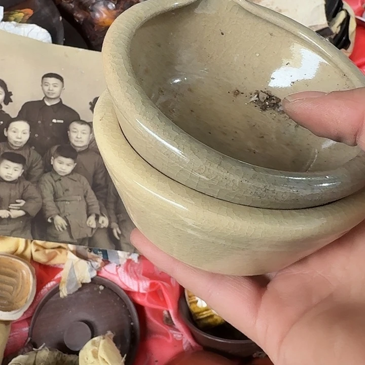 阳***花扇子 cghhffffgggggggvv