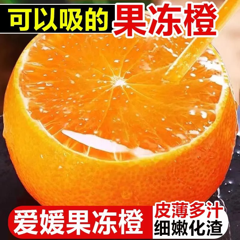 1爱媛38号果冻橙【鲜果现摘】新鲜四川眉山产区爆汁手剥橙风味十足